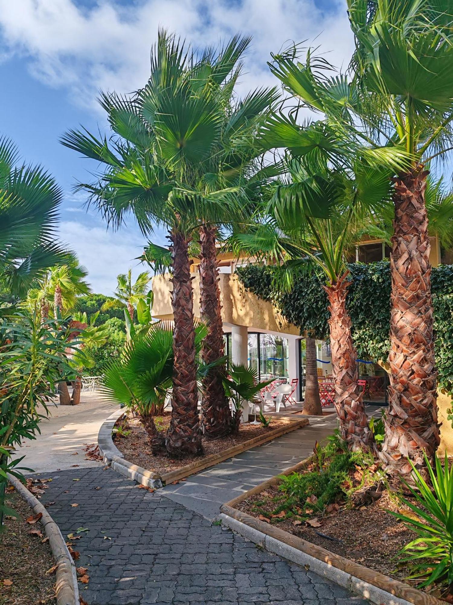 Residence Agathea Agde Esterno foto